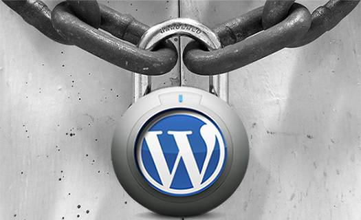 Urgent Security Update For WordPress, Themes & Plugins