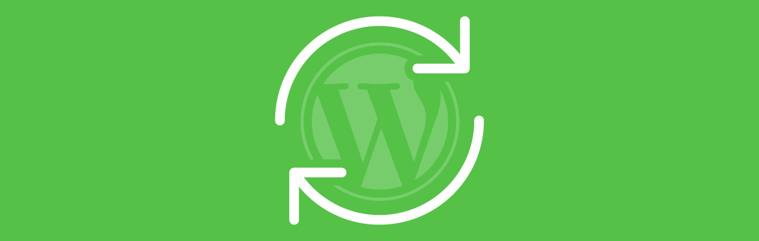 wordpress update