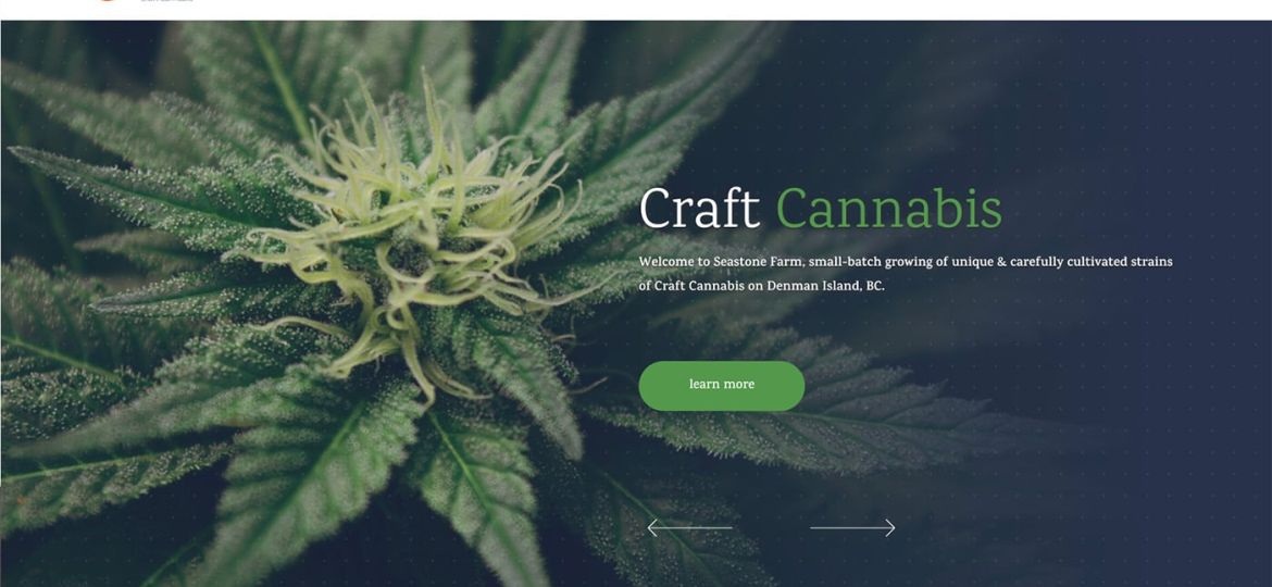 Craft Cannabis Cultivator WordPress website design