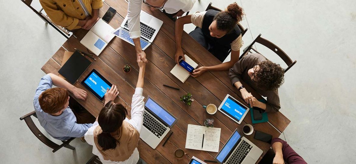 best wordpress support company