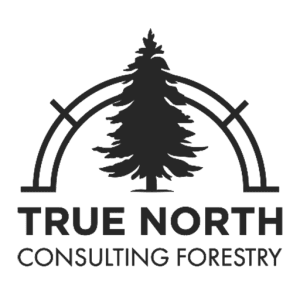 true-north-logo-512x512