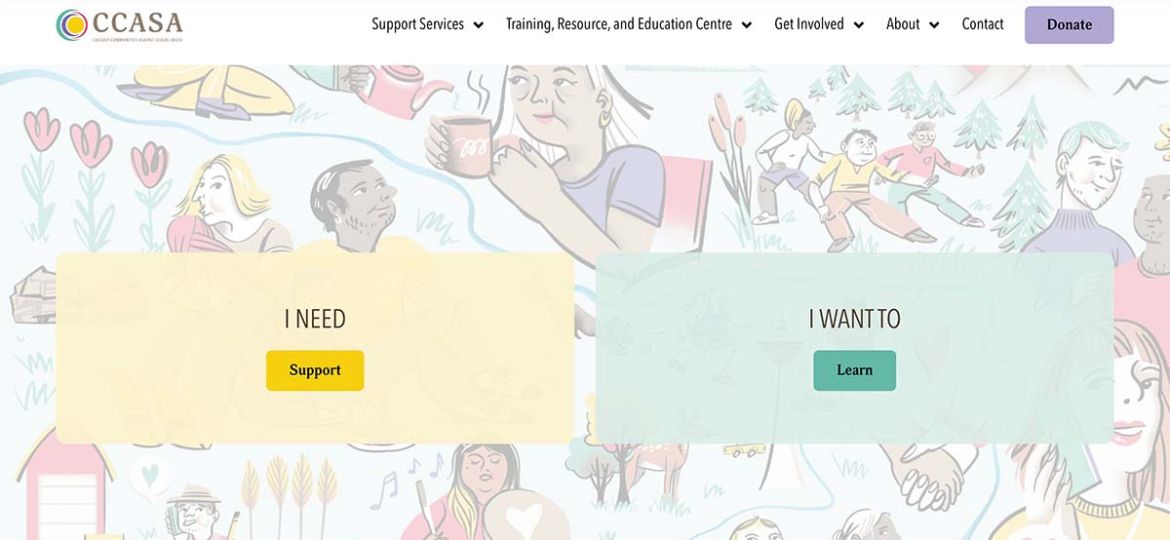 new non profit wordpress support plan